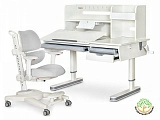 Комплект: парта Mealux Montreal-2 + кресло Ergokids Space Air (BD-670-2 MC/WG с полкой + Y-609)