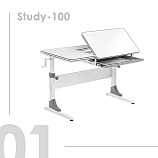 Комплект Anatomica Study-100 парта + стул