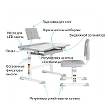 Комплект Anatomica Avgusta парта + стул + лампа