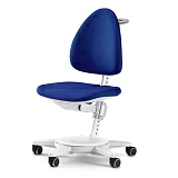 Стул Moll Maximo Classic