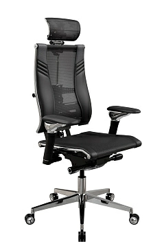 Кресло Yoga Spine Triumph B2 фото