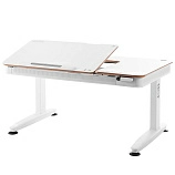 Стол с электроприводом TCT Nanotec E6-120S