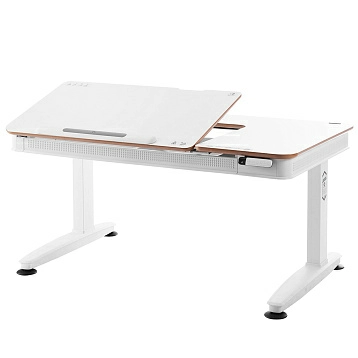 Стол с электроприводом TCT Nanotec E6-120S