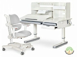Комплект: парта Mealux Montreal-2 + кресло Ergokids Space Air (BD-670-2 MC/WG с полкой + Y-609)