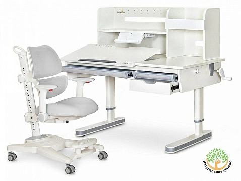 Комплект: парта Mealux Montreal-2 + кресло Ergokids Space Air (BD-670-2 MC/WG с полкой + Y-609)