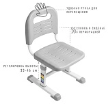 Комплект Anatomica Avgusta парта + стул