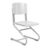 Растущий стул Anatomica Ergo Chair фото