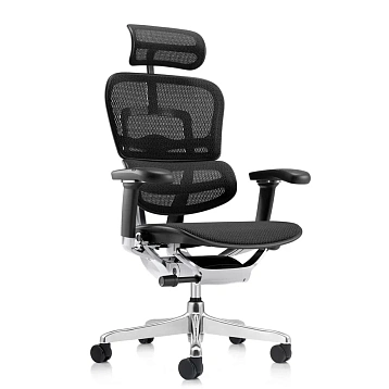 Кресло Falto Ergohuman 2 Luxury SE фото