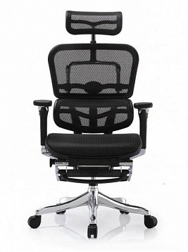 Кресло Ergohuman Plus Legrest сетка фото