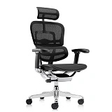 Кресло Falto Ergohuman 2 Luxury SE фото