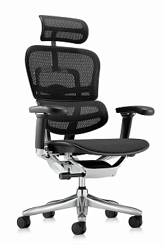 Кресло Ergohuman 2 SE фото