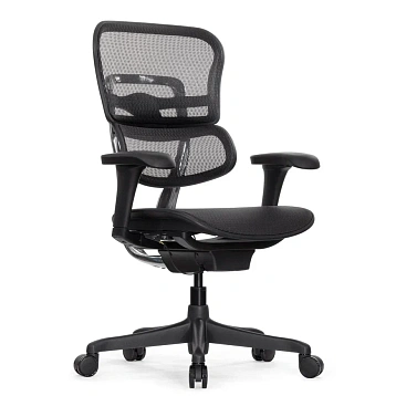 Кресло Falto Ergohuman 2 Project фото Кресло Falto Ergohuman 2 Project фото