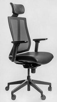 Эргономичное офисное кресло Falto G1