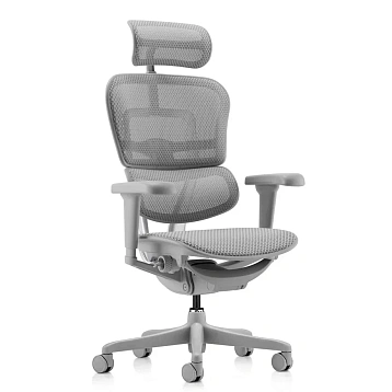 Кресло Falto Ergohuman 2 Ultra ST фото